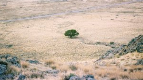 El escritor chino Yan Lianke nos traslada al año de la sequía eterna