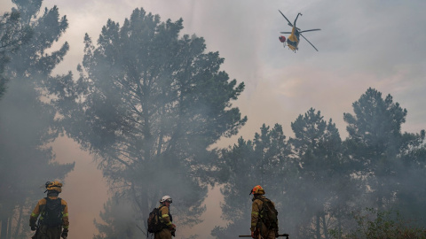 Labores de extinción del incendio forestal en Ribas de Sil.