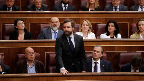 El portavoz de Vox en el Congreso, Iván Espinosa de los Monteros, en la Cámara Baja. EFE/Archivo