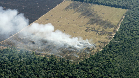 Vista aérea de la deforestación de la Amazonia