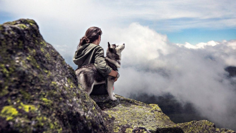 Según este estudio, el origen del perro habría tenido lugar hace 20.000 años.