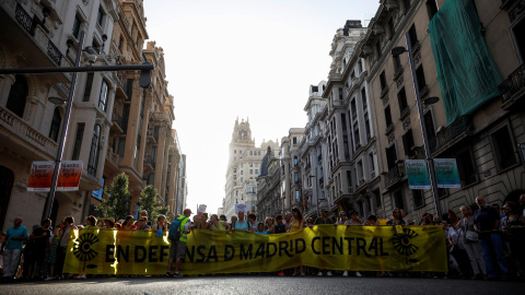 Vista general de la manifestación en defensa de Madrid Central. EFE/David Fernández