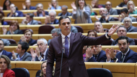 Pedro Sánchez