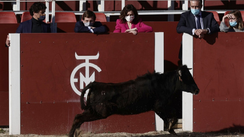 El alcalde de Madrid, José Luis Martínez-Almeida, y la presidenta de la Comunidad de Madrid, Isabel Díaz Ayuso durante una visita a la escuela regional de tauromaquia de la Venta de Batán.