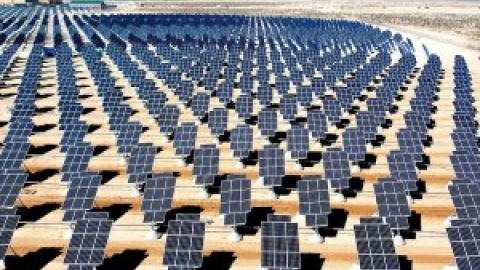 Fotovoltaica planificada sin atropellos para la biodiversidad