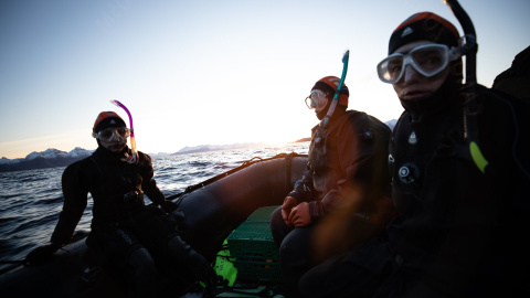 Las buceadoras de Sea Women Expeditions se preparan para sumergirse en el Ártico.