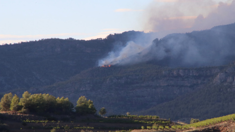 Imatge d'una part de l'incendi de Cabacés, des de Gratallops