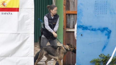 Una agente de la Unidad Operativa de la Guardia Civil busque con ayuda de una perro pistas de los temporeros desaparecidos en Villacarrillo, Jaén.