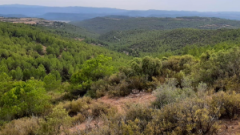 El proyecto de un macrocampo de entrenamiento de los Mossos indigna a los vecinos de un pequeño pueblo barcelonés