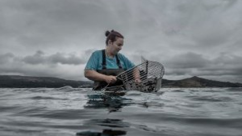 Mariscadoras gallegas denuncian machismo y acoso en la Cofradía pontevedresa de Carril