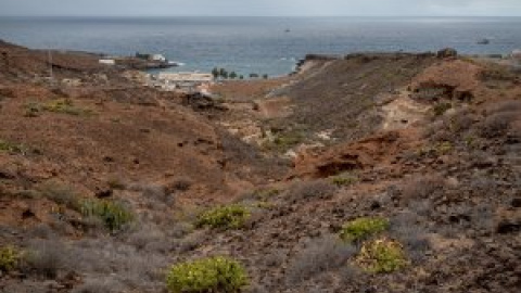 El Gobierno de Canarias paraliza de forma cautelar las obras del macroproyecto turístico de Cuna del Alma por la presencia de la viborina triste