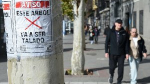 Óscar Puente anuncia que sólo se talará un árbol por las obras de Adif en la estación de Atocha y deja sin argumentos a Ayuso