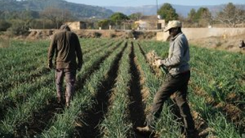 El campo catalán, al límite por los elevados costes de producción y la climatología extrema