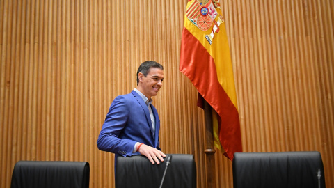 El secretario general del PSOE y presidente del Gobierno, Pedro Sánchez.