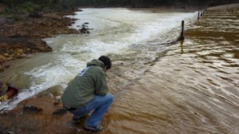 WWF exige paralizar el "ruinoso agujero negro" de dos megaembalses en Andalucía