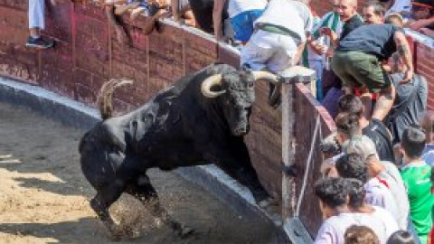 El PSOE se resiste a meter en la ley de infancia la prohibición de la entrada y participación de los menores en los toros