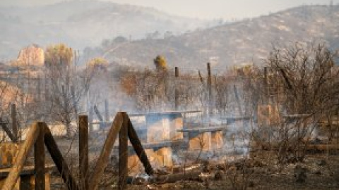 Llegan los primeros medios aéreos para sofocar el incendio de Málaga con más de 3.600 hectáreas quemadas