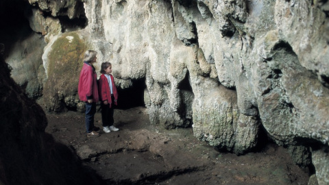 Parc de les Coves Prehistòriques de Serinyà