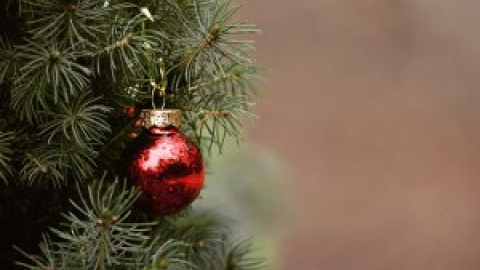 Consells per a unes festes de Nadal responsables amb el medi natural