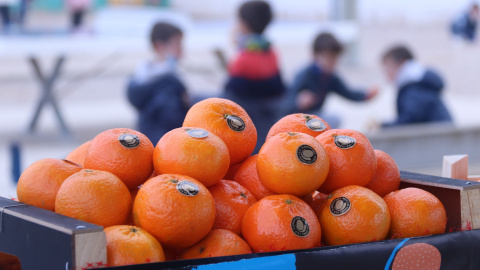 Detall d'una caixa de mandarines clementines.