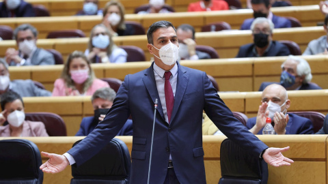 14/09/2021.- El presidente del Gobierno, Pedro Sánchez, interviene durante la sesión de control al gobierno en el Senado. EFE/Kiko Huesca