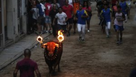 Golpes de calor, ahogamientos y descargas eléctricas: los toros sufren un verano más la barbarie de las fiestas patronales