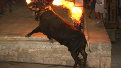 Colectivos animalistas denuncian el maltrato a un toro en las fiestas de Sollana