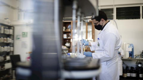 Un científico trabaja en un laboratorio