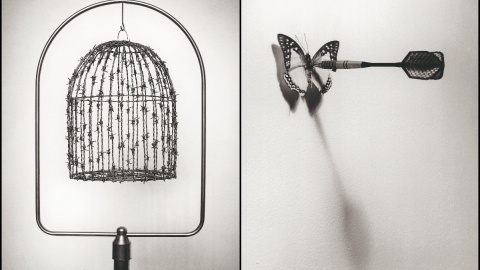 Dos obras de Chema Madoz pertenecientes a la exposición ‘Crueldad’.