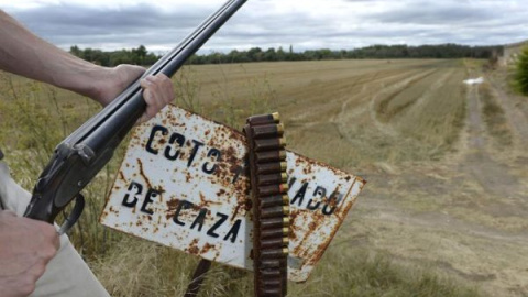 Una escopeta y su canana en un coto de caza. EFE/Archivo