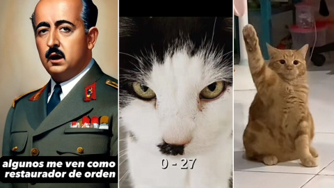 Capturas de TikTok de un 'deepfake' de Franco y dos gatos haciendo apología nazi.