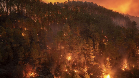 Vista nocturna del incendio forestal en Ribadavia (Ourense).