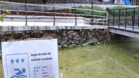 Aguas contaminadas en una de las playas del embalse de As Conchas, en una imagen de archivo.