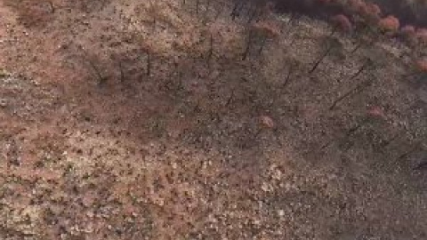 Los bomberos siguen trabajando para refrescar la zona y extinguir el incendio de Sierra Bermeja