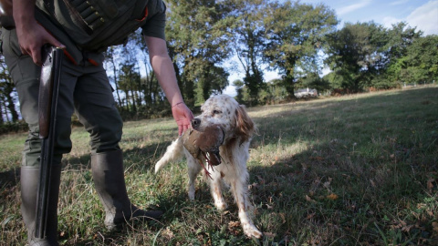 Un cazador perteneciente al Coto de Cela, recoge una perdiz con su perro de caza en el Tecor Santa Isabel, a 16 de octubre de 2022, en Vilela, Outeiro de Rei, Lugo.