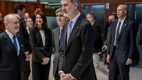 El rey Felipe VI. A. Pérez Meca / Europa Press