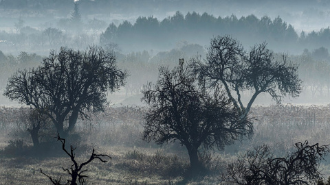 La niebla se extiende en las inmediaciones de Manacor.