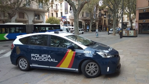 Coche policial