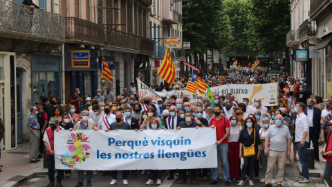 Pla general de la manifestació a Perpinyà per demanar que no es canviï la llei que protegeix el català a França.