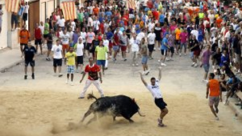 Los 'bous al carrer', batalla cultural entre ecologistas y la ultraderecha valenciana