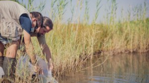 Les zones humides de Catalunya, un pulmó natural amenaçat per la construcció