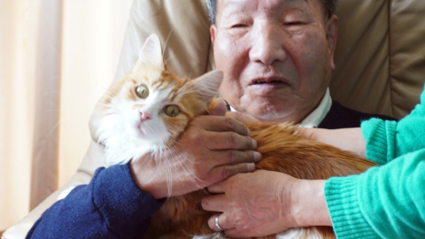 Iwao Hakamada sostiene un gato en su casa en Hamamatsu, Prefectura de Shizuoka, Japón, a 8 de febrero de 2024.