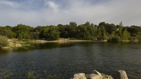 Vista del embalse de Valmayor, en Valdemorillo, Madrid.