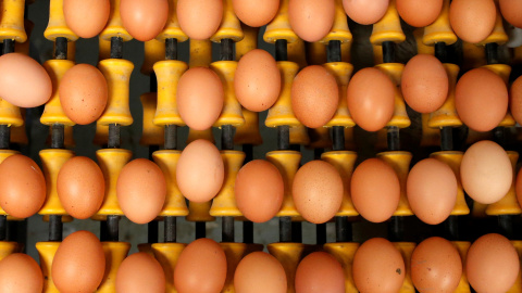 Sanidad asegura que España no está afectada por los huevos contaminados tras la retirada de una partida en el País Vasco. REUTERS