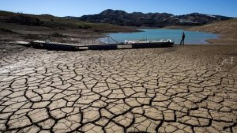 Otras miradas - Crítica ecofeminista a la Ley de cambio climático y transición energética