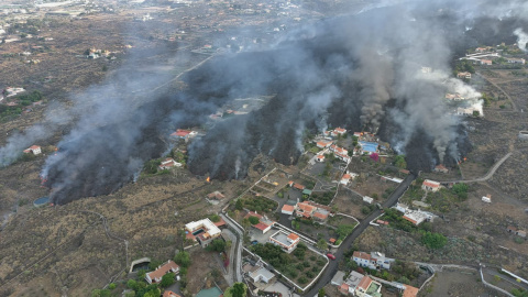 Vista del avance de la lava en La Palma.