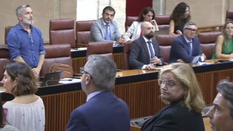 Los diputados de Vox durante el minuto de silencio por el naufragio con 54 muertos en El Hierro en el Parlamento andaluz, a 3 de octubre de 2024.