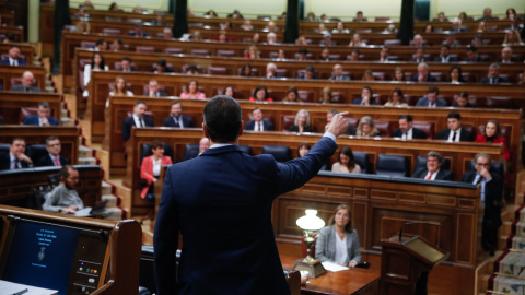 21/12/2022.- El presidente del Gobierno, Pedro Sánchez (de espaldas), interviene durante la sesión de control celebrada, este miércoles, en el Congreso de los Diputados. EFE/ Juan Carlos Hidalgo