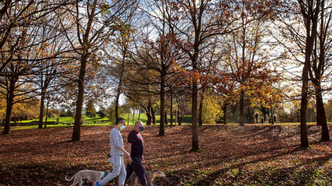 Vista del Parque de Invierno de Oviedo.