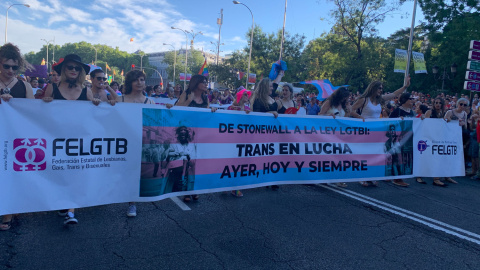 Pancarta de la FELGTB con el lema de "De Stonewall a la ley LGTBI: Trans en lucha ayer, hoy y siempre". /ESTEFANÍA ROSELLÓ